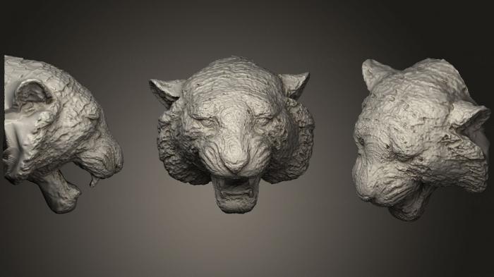 نموذج ثلاثي الأبعاد لآلة CNC أقنعة وكمامات الحيوانات رأس النمور